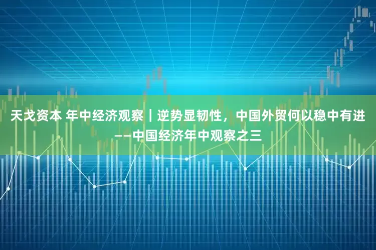 天戈资本 年中经济观察｜逆势显韧性，中国外贸何以稳中有进——中国经济年中观察之三